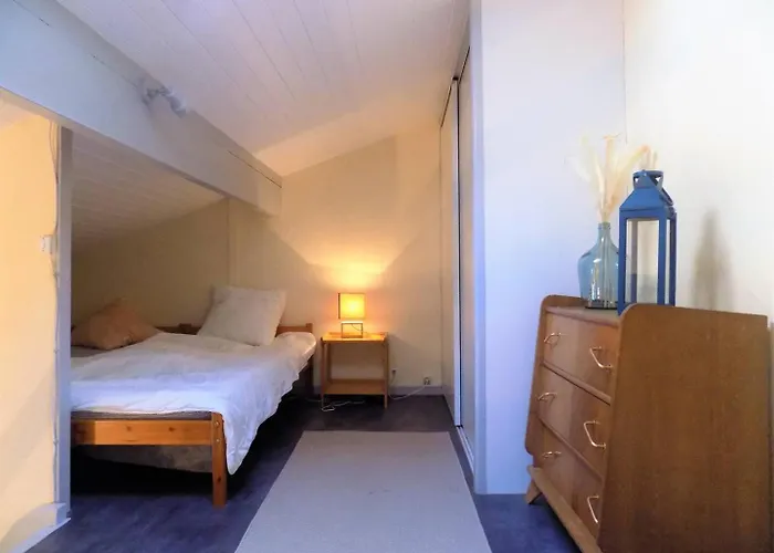 La Palmyre - Les Maisons De L'ocean - De Classee 1 Etoile *