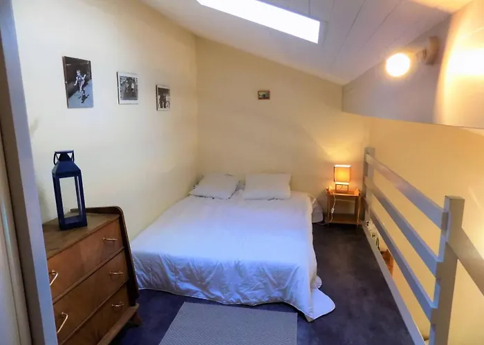 La Palmyre - Les Maisons De L'ocean - De Classee 1 Etoile * Les Mathes